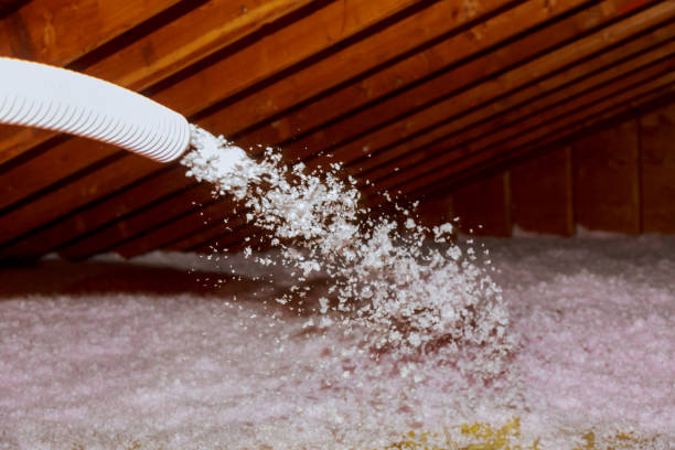 Best Eco-Friendly Insulation in Bamberg, SC