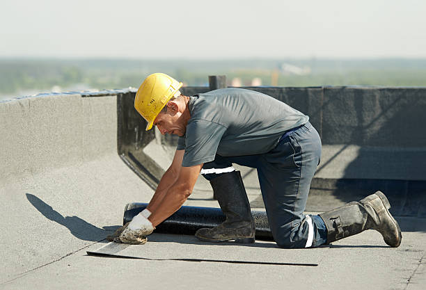 Best DIY Insulation Kits and Guidance in Bamberg, SC