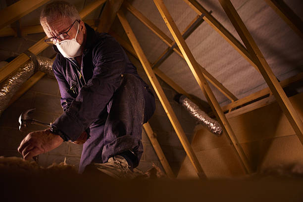 Best Spray Foam Insulation in Bamberg, SC