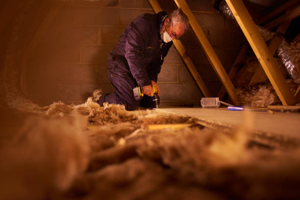 Best Insulation Maintenance and Repair in Bamberg, SC